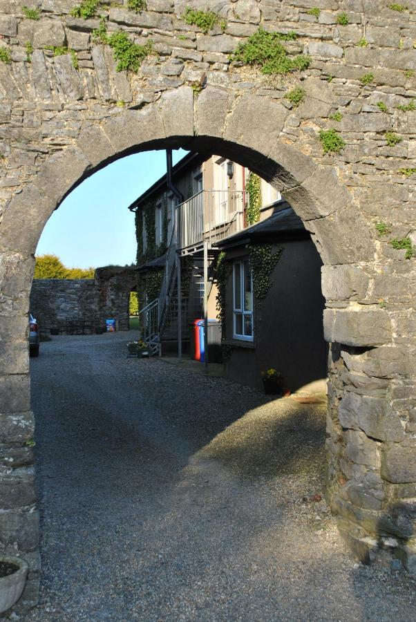 Killiane Castle Country House & Farm Drinagh 외부 사진