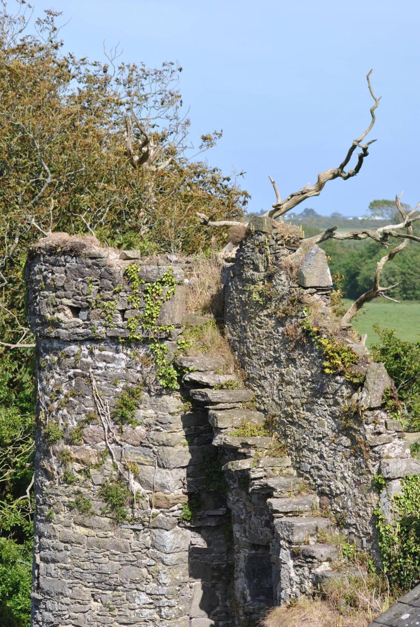Killiane Castle Country House & Farm Drinagh 외부 사진