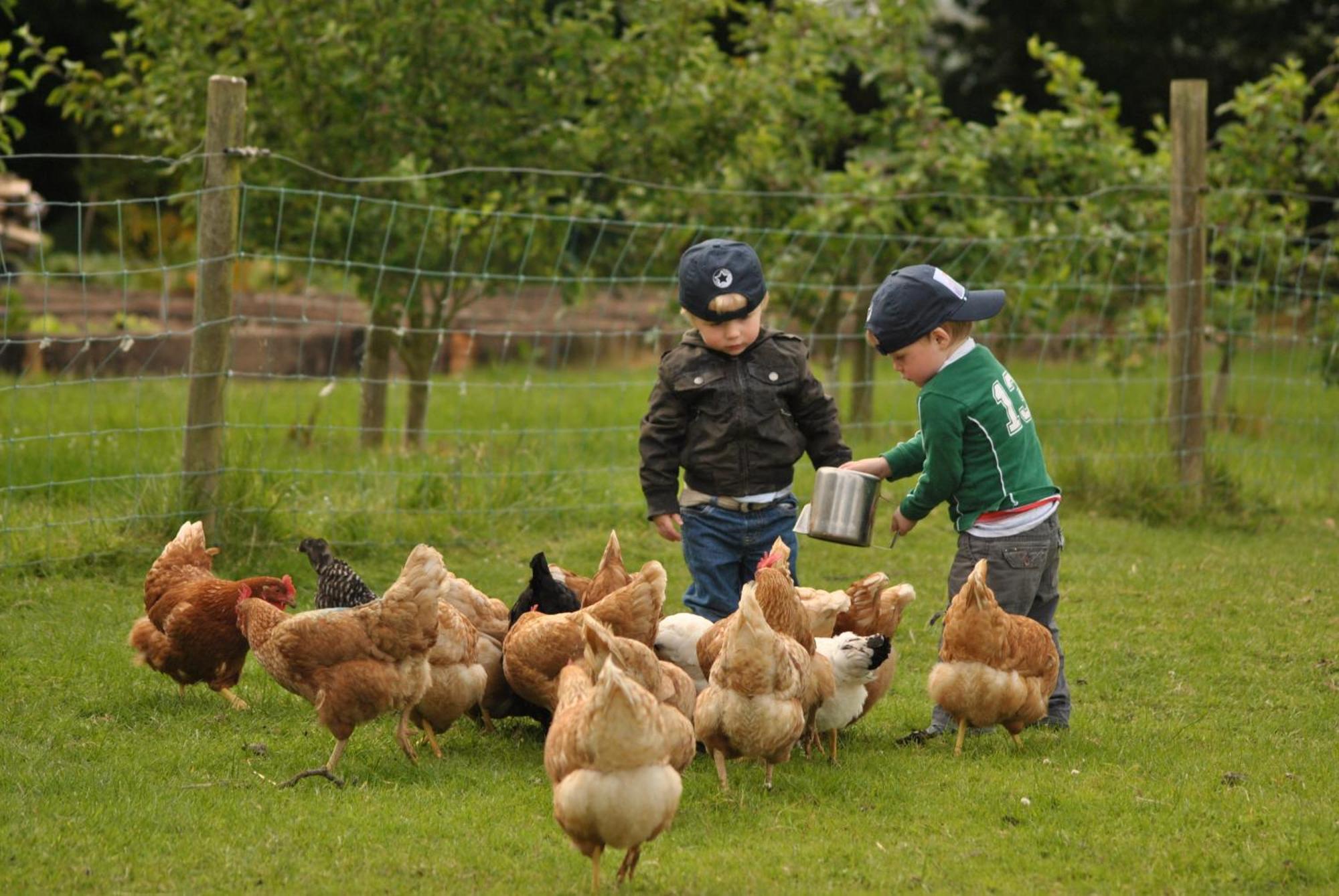 Killiane Castle Country House & Farm Drinagh 외부 사진