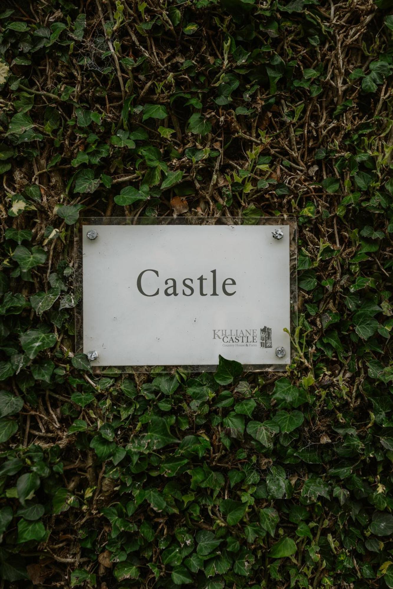 Killiane Castle Country House & Farm Drinagh 외부 사진